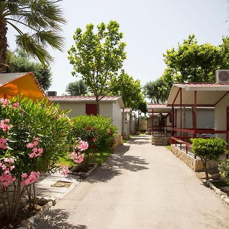 Villaggio Albergo Cervo ザッポネータ エクステリア 写真
